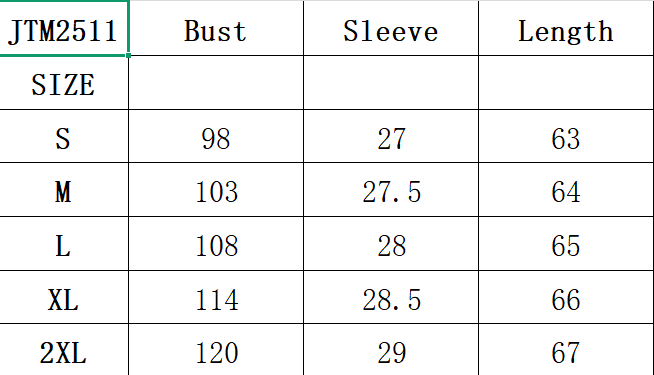 Puff Sleeve Embroidered Blouse